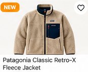 Patagonia Classic Retro-X Fleece Jacket
