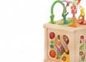 Wooden Activity Cube