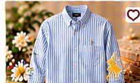 Ralph Lauren Custom Fit Oxford Shirt