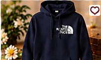 THE NORTH FACE Logo Hoodie