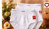 Hanes Comfort Fit Briefs