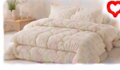Quilt Bedding Set (3 Piece)