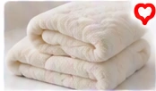 Nitori Microfiber Blanket (Single)