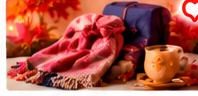 Autumn Fleece Accessory Gift Set (Scarf & Pouch)