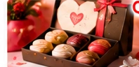 Japanese Gourmet Sweets Gift Box