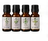 Essential Oil Set β 6 Bottles