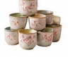 Tea Cup Set of 5 (Assorted)