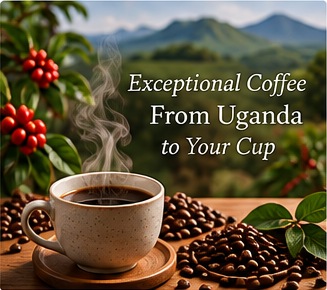 Kampala Coffee Arabica Beans 200g product detail image