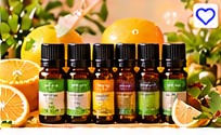 Citrus Fresh Essential Oil Set 6pcs