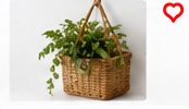 Hanging Rattan Basket with Liner