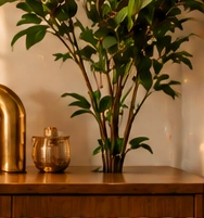Decorative Objects benefits: Curated Collections; Unique & Stylish; For Every Home; Great for Gifting