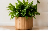 IKEA Artificial Plant