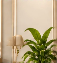 Mirrors benefits: Trusted Brands; Quality Finish; Stylish & Modern; For Every Home