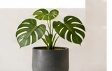 MUJI Concrete Planter