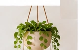 H&M HOME Hanging Planter