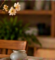 Vases & Ceramics benefits: Trusted Brands; Carefully Selected; Japanese & Global Styles; For a More Beautiful Home