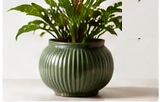 H&M HOME Ceramic Planter
