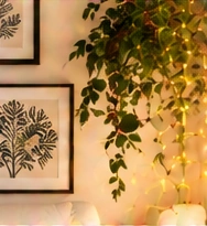 Wall Décor benefits: Trusted Brands; Fast Delivery; Stylish & Practical; For Every Home